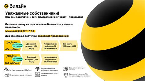 Инновационные бизнес-решения от Билайн: гибкие тарифы с ИИ-помощниками и безлимитной связью