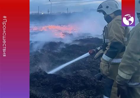 Виновник пожара в «Заречье парке» понесет наказание: подробности инцидента