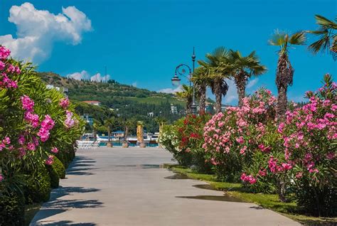 Яркое противостояние на льду: 10 невероятных фактов о дуэли «Авангард» и «Локомотив»